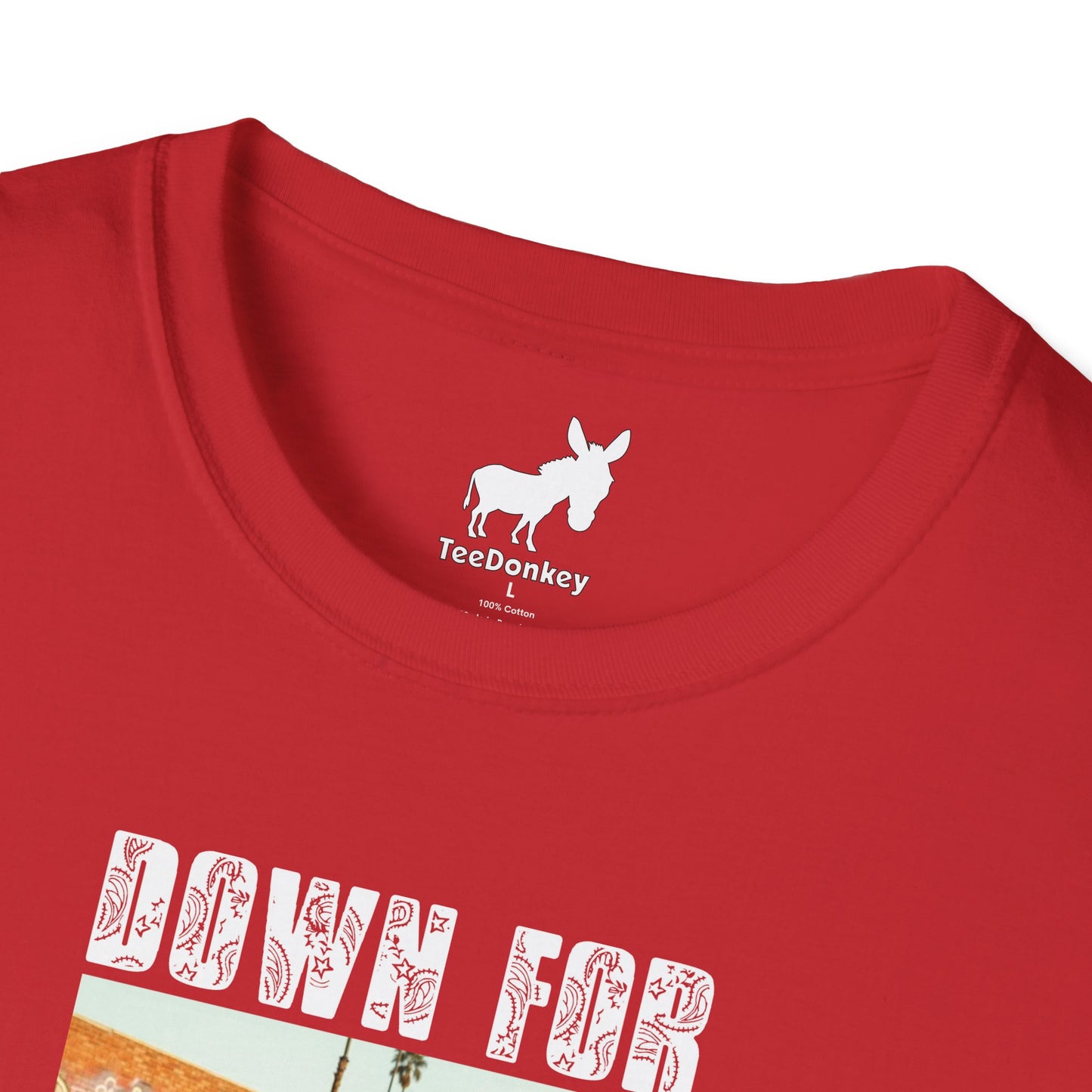 DOWN FOR LA RAZA T-Shirt