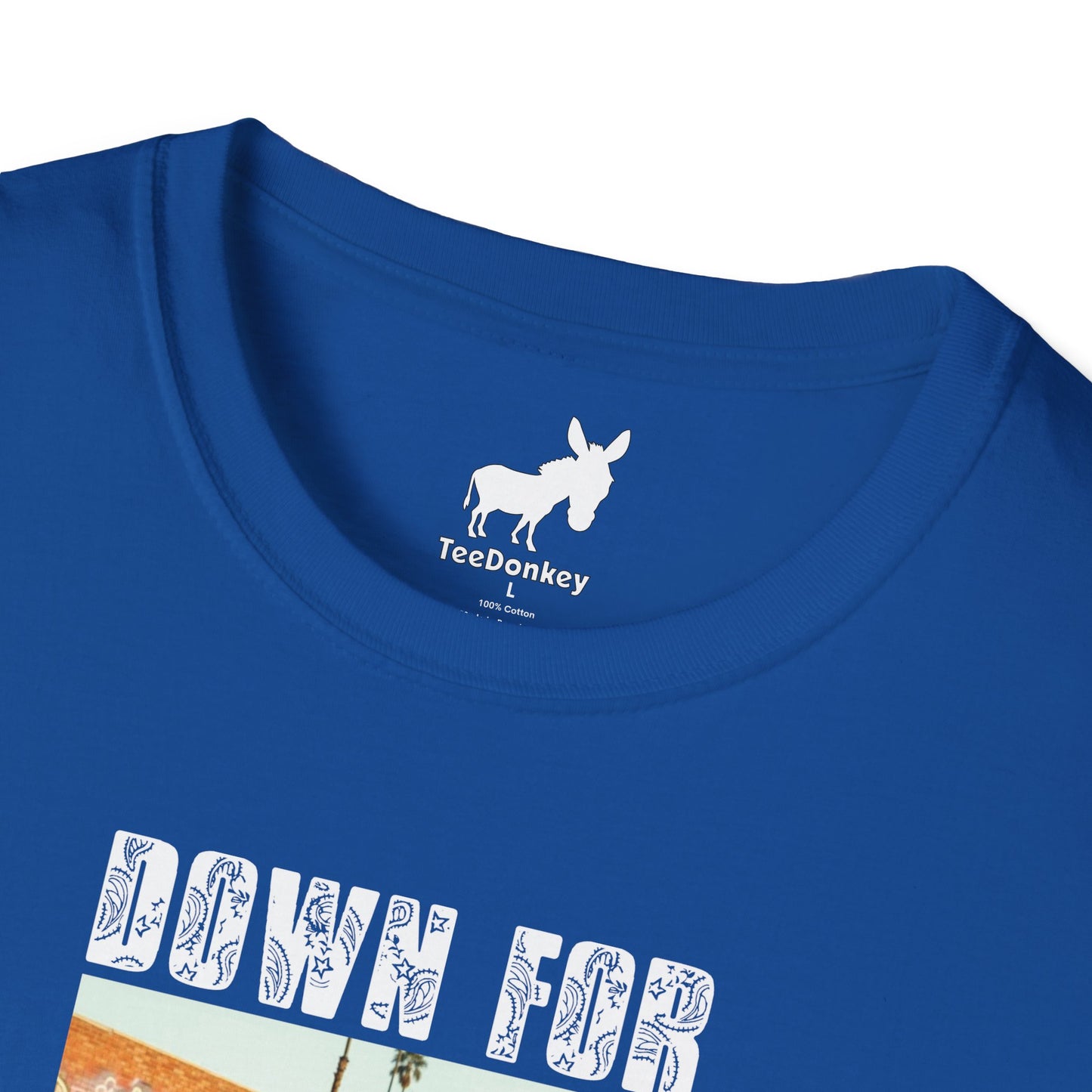 DOWN FOR LA RAZA T-Shirt