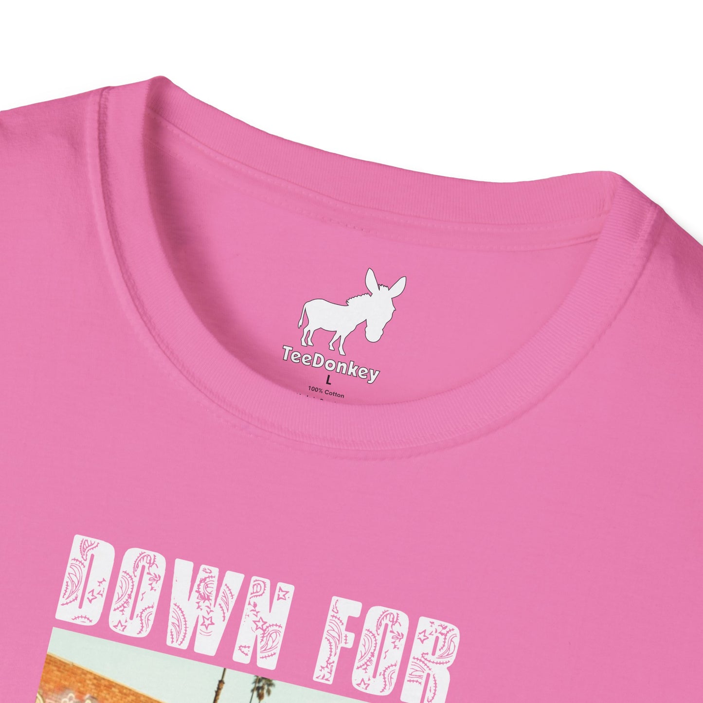 DOWN FOR LA RAZA T-Shirt