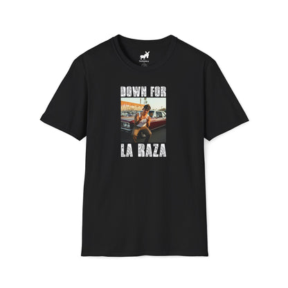 DOWN FOR LA RAZA T-Shirt