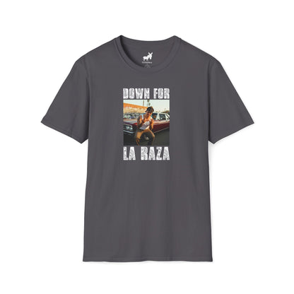DOWN FOR LA RAZA T-Shirt